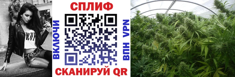 Купить наркоту Шали МЕГА как зайти Гашиш Кокаин A PVP