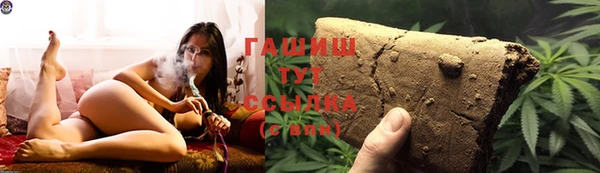 молекула духа Арсеньев
