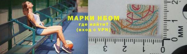 молекула духа Арсеньев