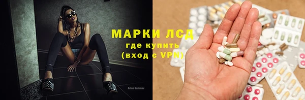 молекула духа Арсеньев