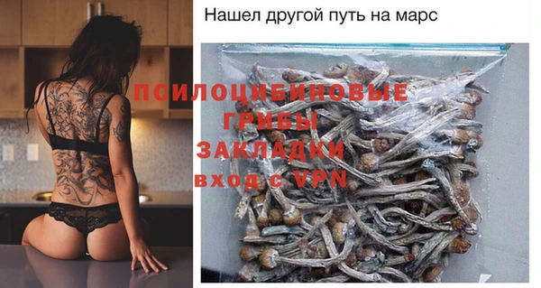 эйфоретик Аркадак