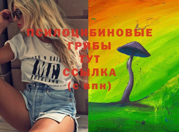 дурь Армянск